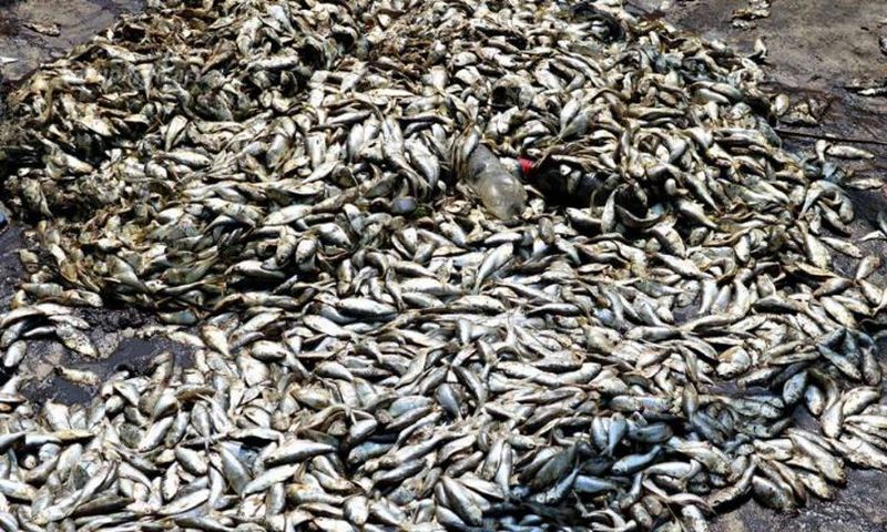 Pollution de la rivière Niounourou à Niambézaria dans la ville de Lakota