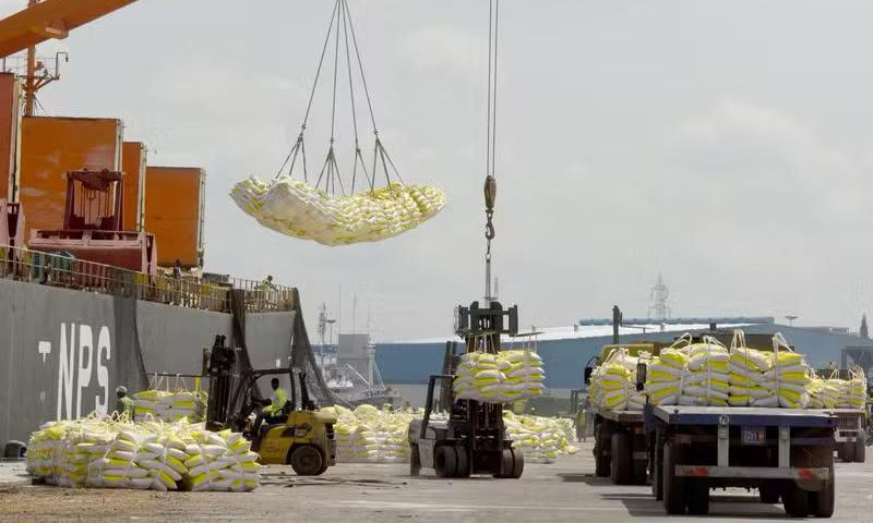 La Côte d’Ivoire est le premier pays importateur de riz en Afrique/ISSOUF SANOGO / AFP