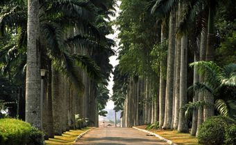 Aburi botanical gardens