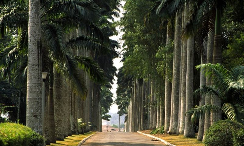 Aburi botanical gardens