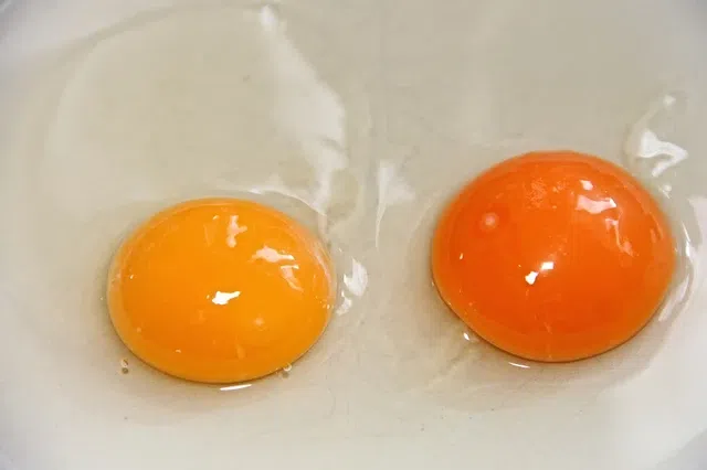 10 'dangerous' foods pregnant women should never eat