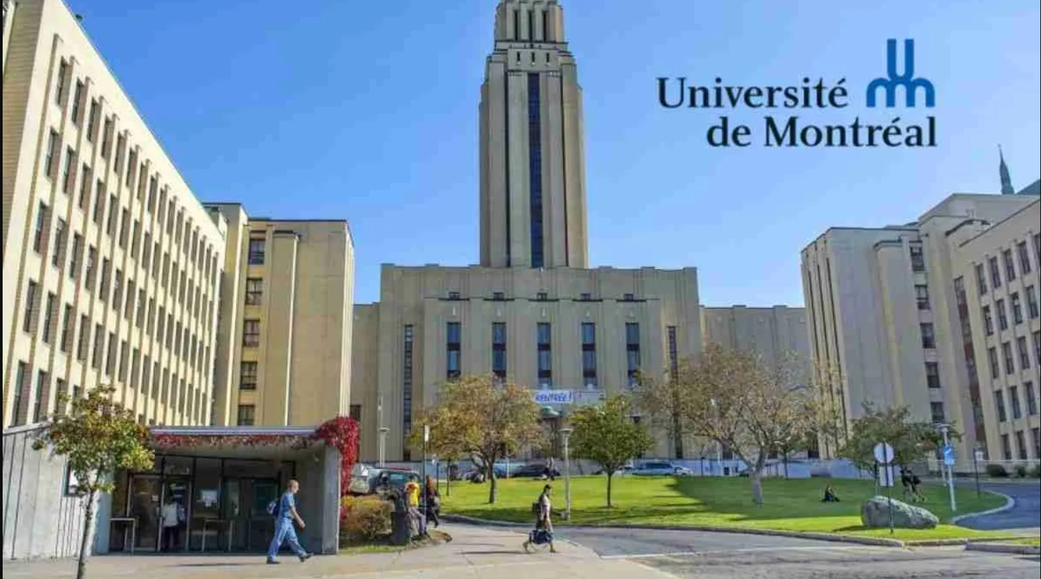 10 affordable universities in Canada for international students