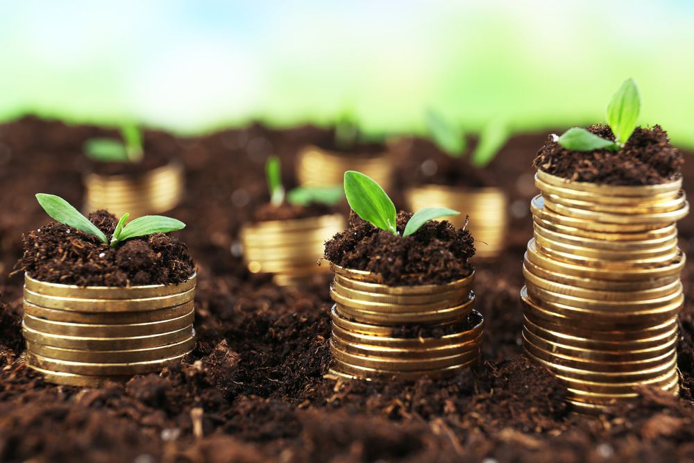 Here's how to invest GHS 5000 in your 20s and get profitable returns