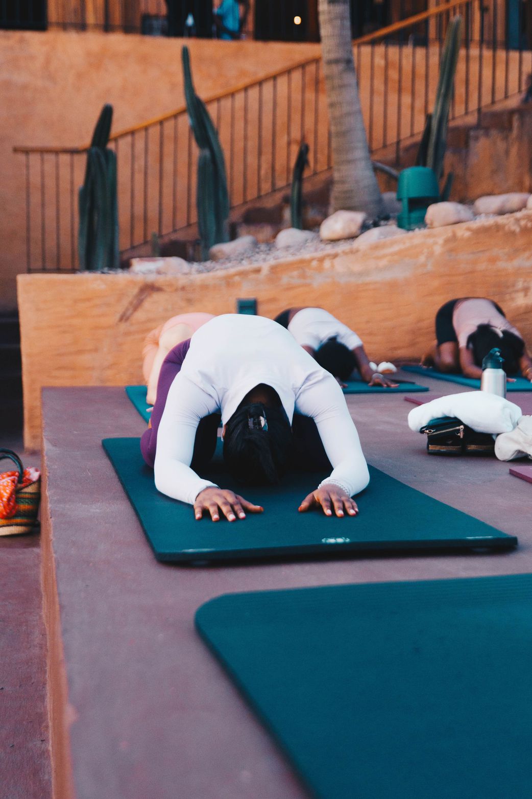 Beyond the sunset: Transit's holistic approach to creative wellbeing
