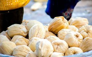 Kenkey seller struck to death by lightning minutes after staking lotto in Ho