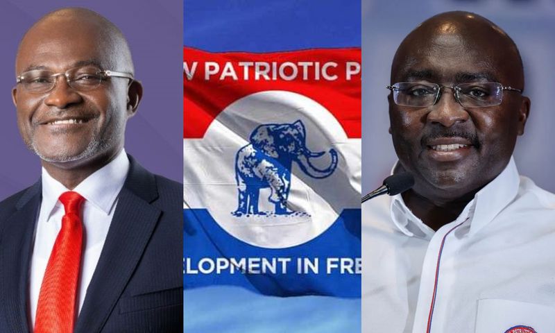 NPP flagbearer race: 4 prominent names that have emerged so far for 2028 election