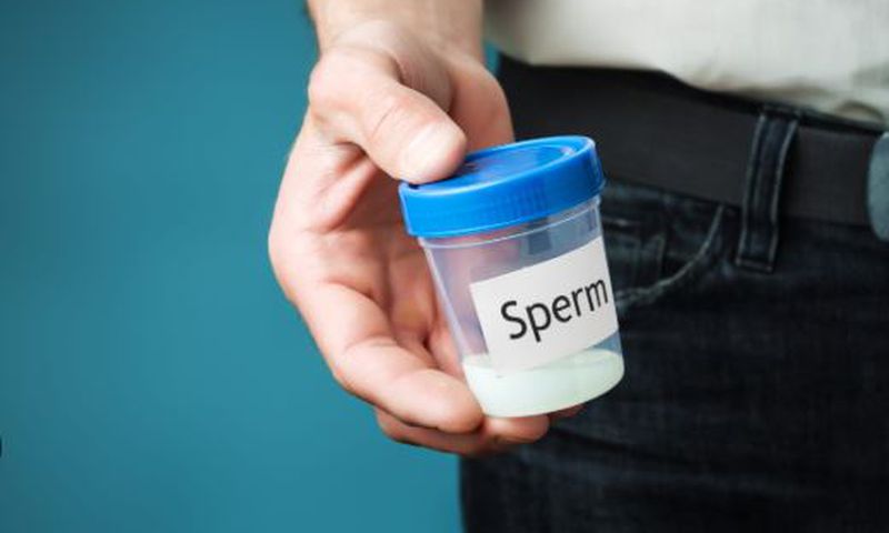 Sperm