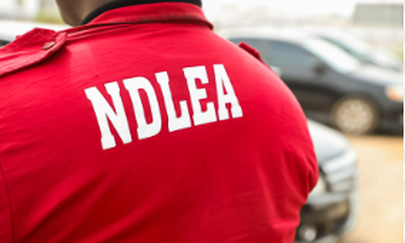 NDLEA operatives