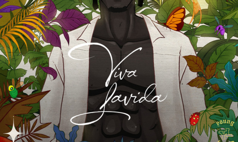 Joeboy chooses a new path with 'Viva Lavida' [Review]