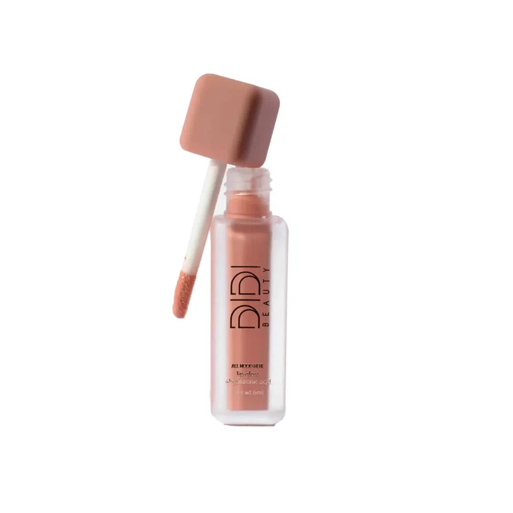 The Didi Beauty All Nood Here Lip Gloss