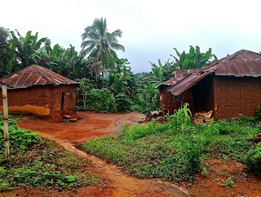 Village Life Diaries: What a week without internet taught me