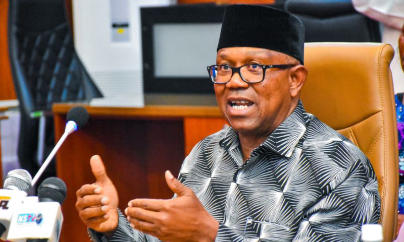 Peter Obi donated ₦20 million to flood victims in Mokwa, Niger State. [Peter Obi/X, formerly Twitter]