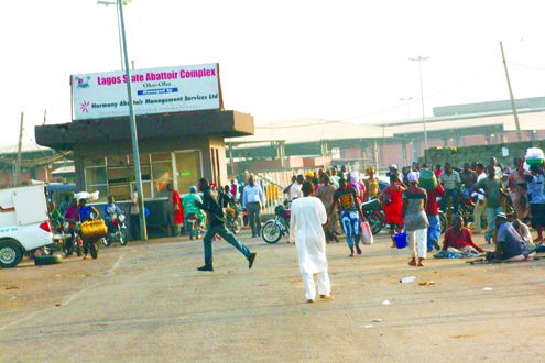 These 7 Markets Sell Sallah Rams at Pocket-Friendly Prices in Lagos