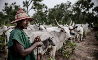 Tension in Abia as monarch raises alarm over land acquisitions by suspected herdsmen