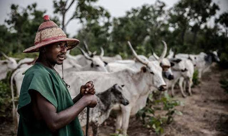 Tension in Abia as monarch raises alarm over land acquisitions by suspected herdsmen