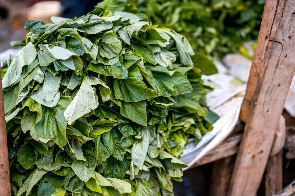 Trying to Lose Weight? These 10 Nigerian foods burn fat like magic
