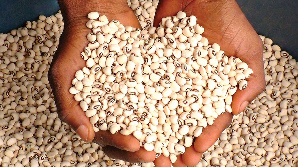 Trying to Lose Weight? These 10 Nigerian foods burn fat like magic
