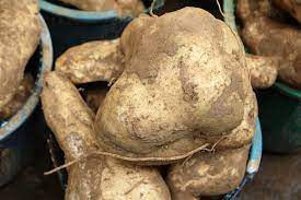 Trying to Lose Weight? These 10 Nigerian foods burn fat like magic
