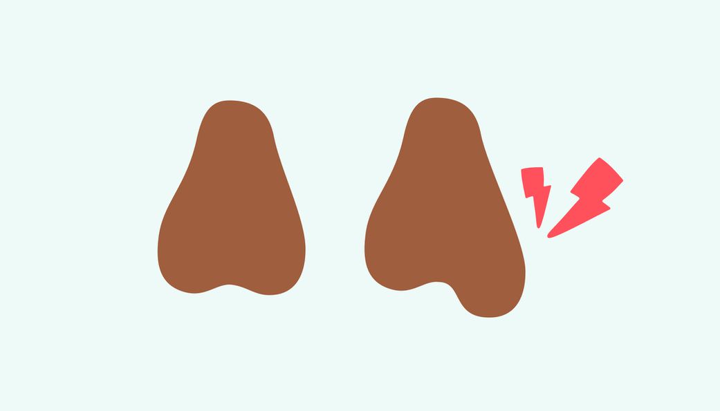 Why are testicle uneven in size? [Livi]