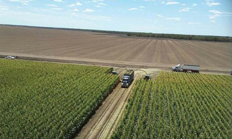 Who are the largest landowners in the world [YahooFinance]