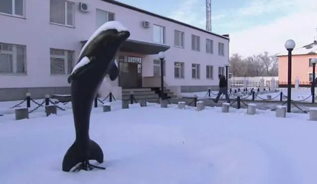 Black Dolphin Prison [inf.news]