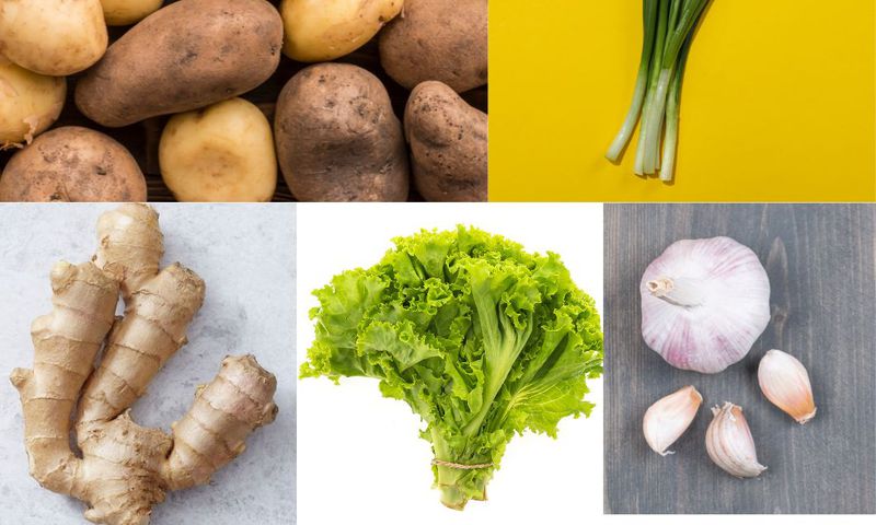 You can replant and regrow them for further usage, saving costs on grocery shopping.