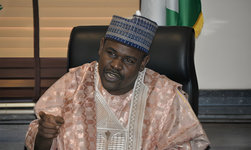 Gudaji Kazaure, a former Reps member representing Gwiwa, and Yan Kwashi federal constituencies in Jigawa State. [Facebook]