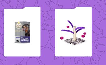 9 Best Gifts for the Pet Lovers in Your Life