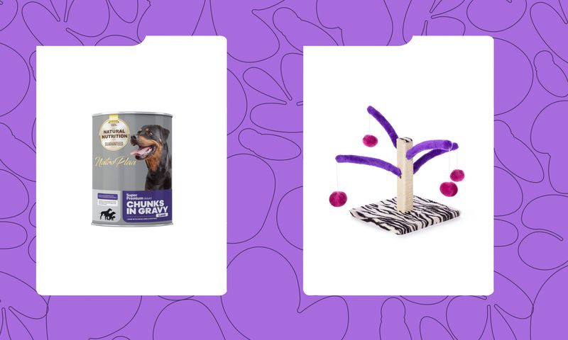 9 Best Gifts for the Pet Lovers in Your Life
