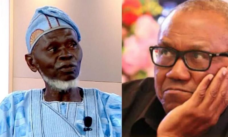 New twist in Labour Party leadership tussle as Lamidi Apapa takes over