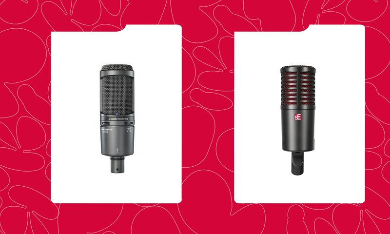 7 Top Professional-Level Microphones for Podcasters and YouTubers