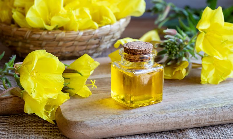 These 7 herbs may increase your chances of twin pregnancy