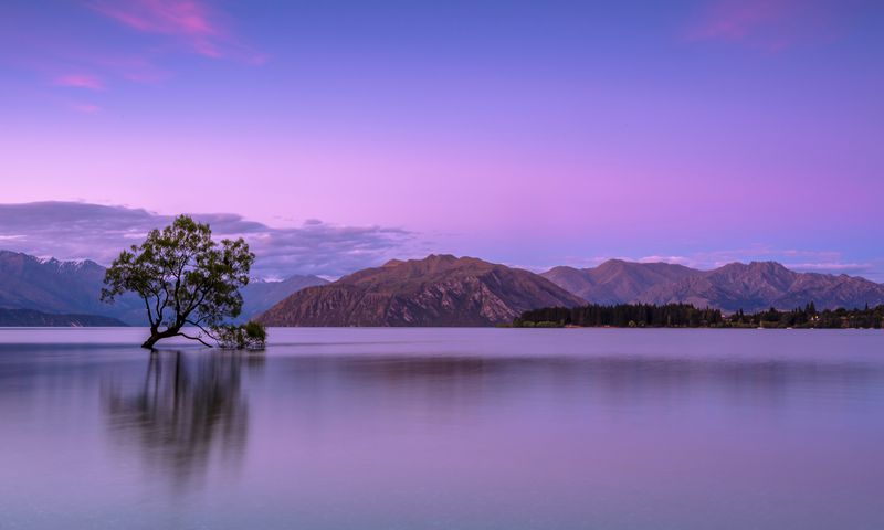 Why New Zealand is the perfect cultural destination for a Winter Getaway