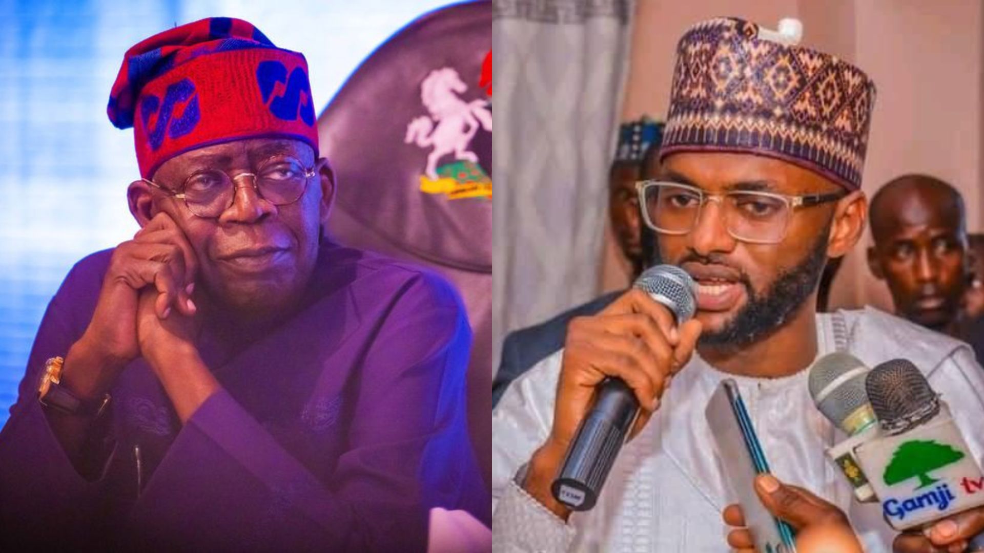 Fish farmers hail Tinubu over NAIC appointment, back Danfulani’s reforms push