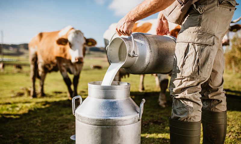 Is raw milk safe [istock]