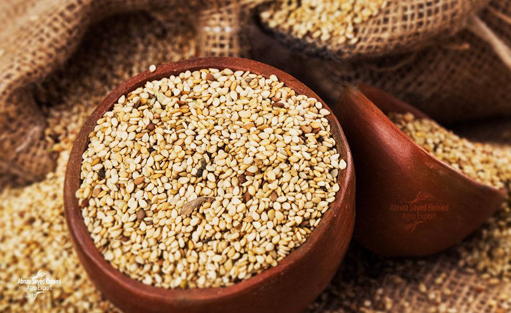 5 must-have seeds for managing PCOS naturally