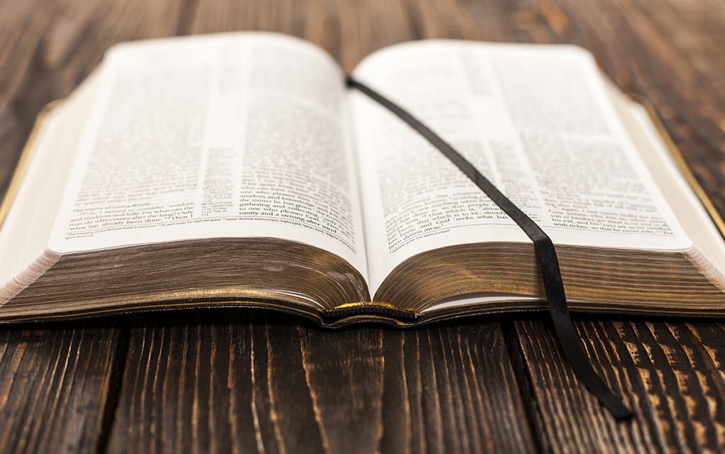 50 powerful bible verses about thanksgiving and gratitude