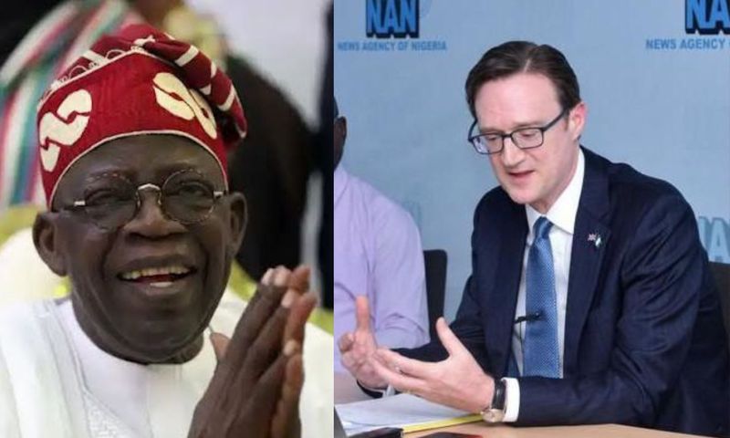 Tinubu's economic reforms are paying off - British high commissioner