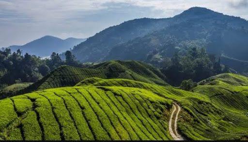 Hidden towns in Nigeria that feel like you're in another country
