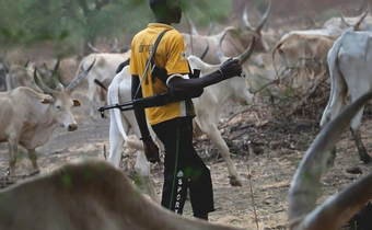 Armed Fulani herdsman. [The Guardian]
