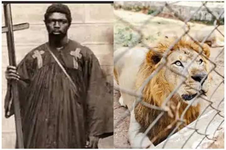 Just like Daniel, this Nigerian prophet entered a lion’s den—See what happened next