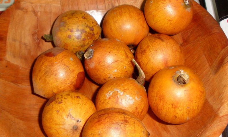 10 reasons why you should eat Udara everyday [Daily Trust]