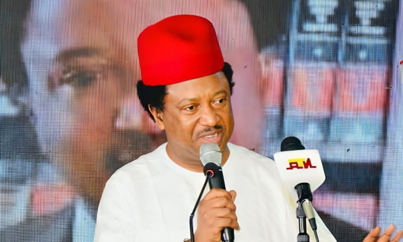 Senator Shehu Sani. [Facebook]