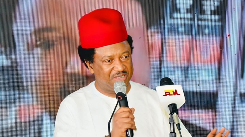 Shehu Sani urges North to back Tinubu for South-West’s 8-year presidency