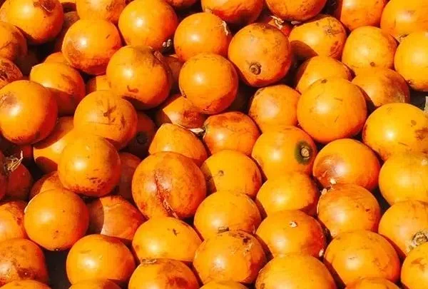 10 reasons why you should eat Udara (Agbalumo) everyday