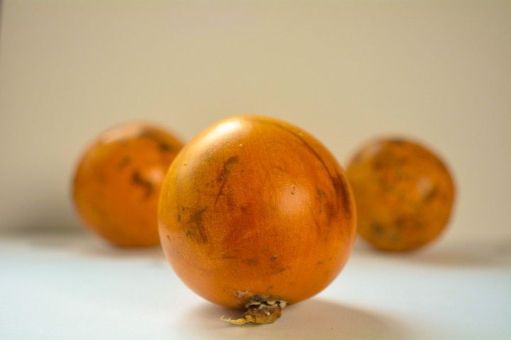 10 reasons why you should eat Udara (Agbalumo) everyday