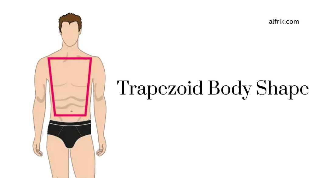 The trapezoid body type [Alfrik]