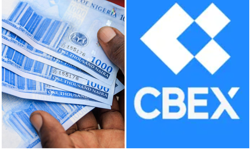 [Business Day]
CBEX: 6 Ponzi scheme red flags every Nigerian should know
