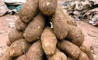 Tuber of yams displayed for sale at a market in Benue State. [Facebook/@aga.thaddus]
