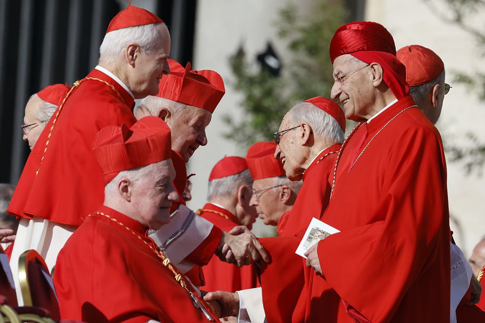 The cardinals arrive Rome for the Papal Conclave [National Catholic Reporter]